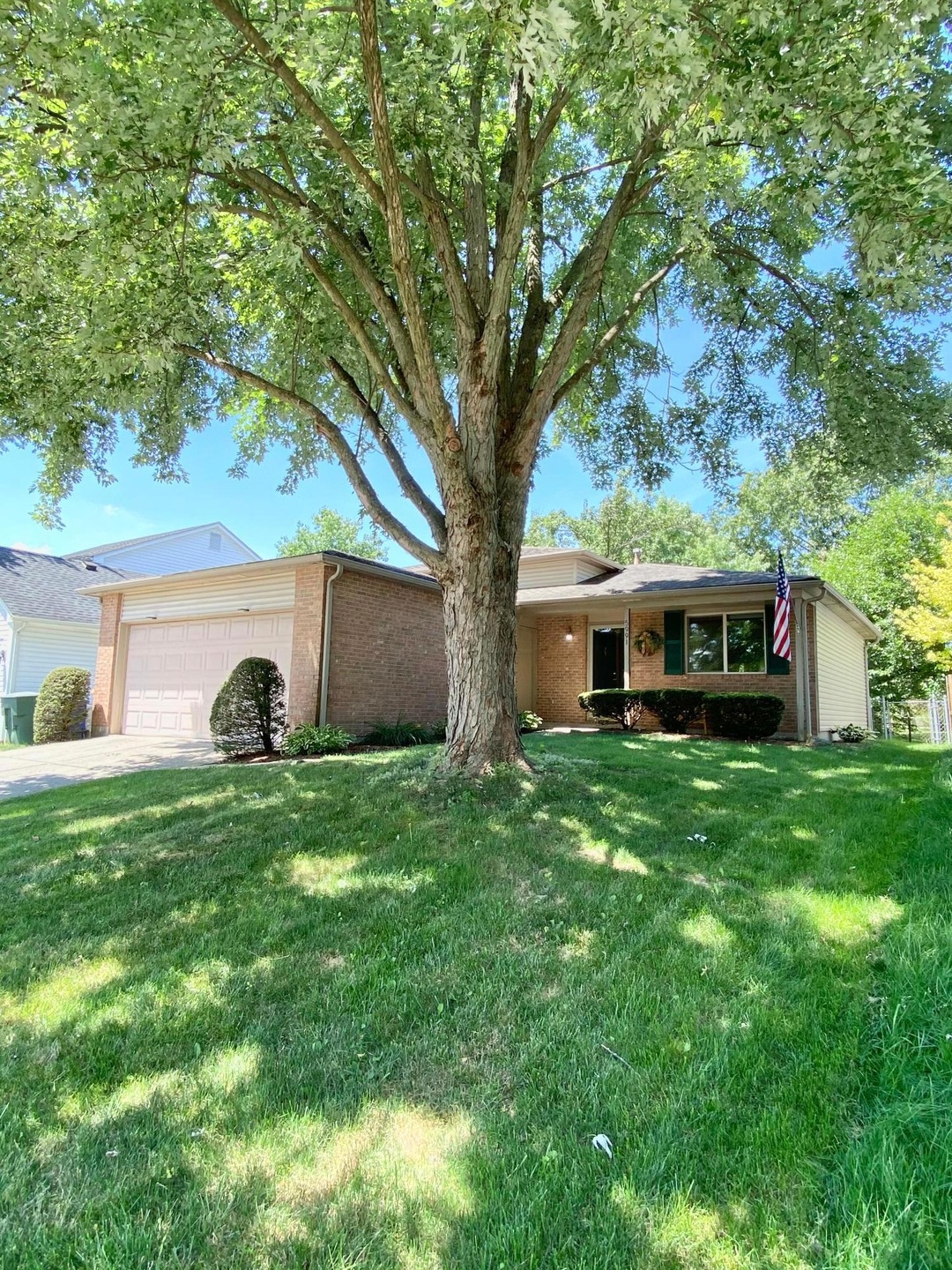 Front yard1