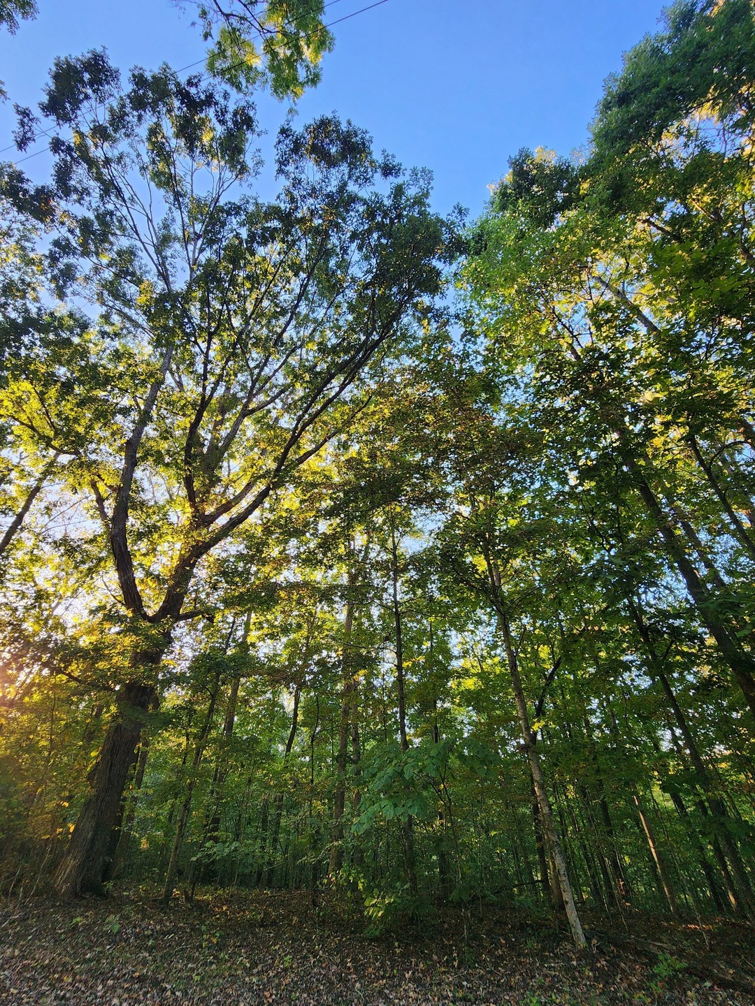 0 Turkey Creek Boat Dock Rd, Tullahoma, TN 37388 MLS RTC2575599