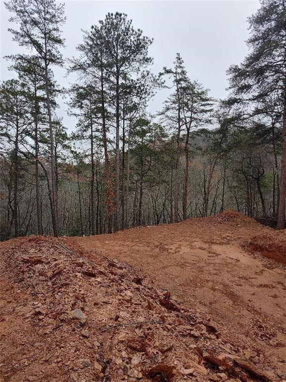 View of local wilderness