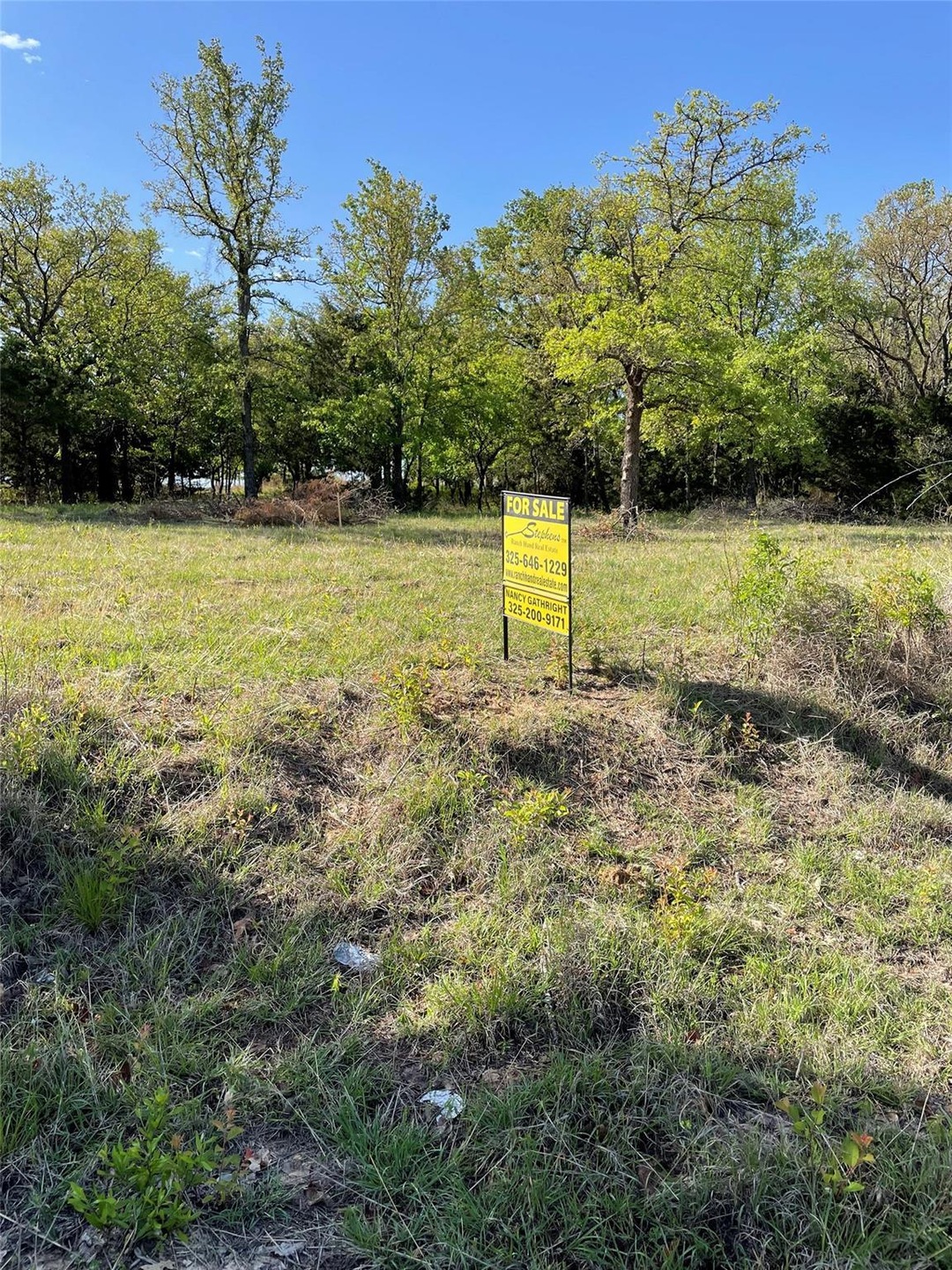 456 Cr 3791 Rd, Paradise, TX 76073 - photo 1