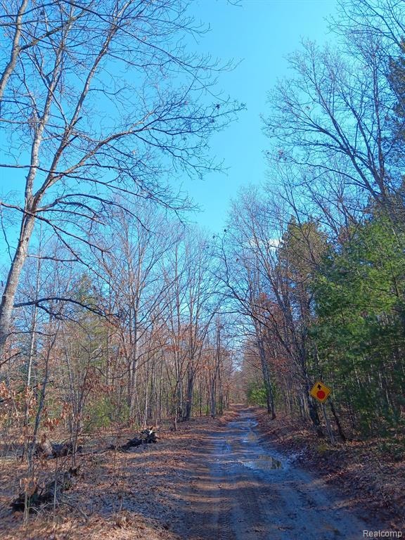 0000 Cedar Creek Rd, Wellston, MI 49689 - photo 1