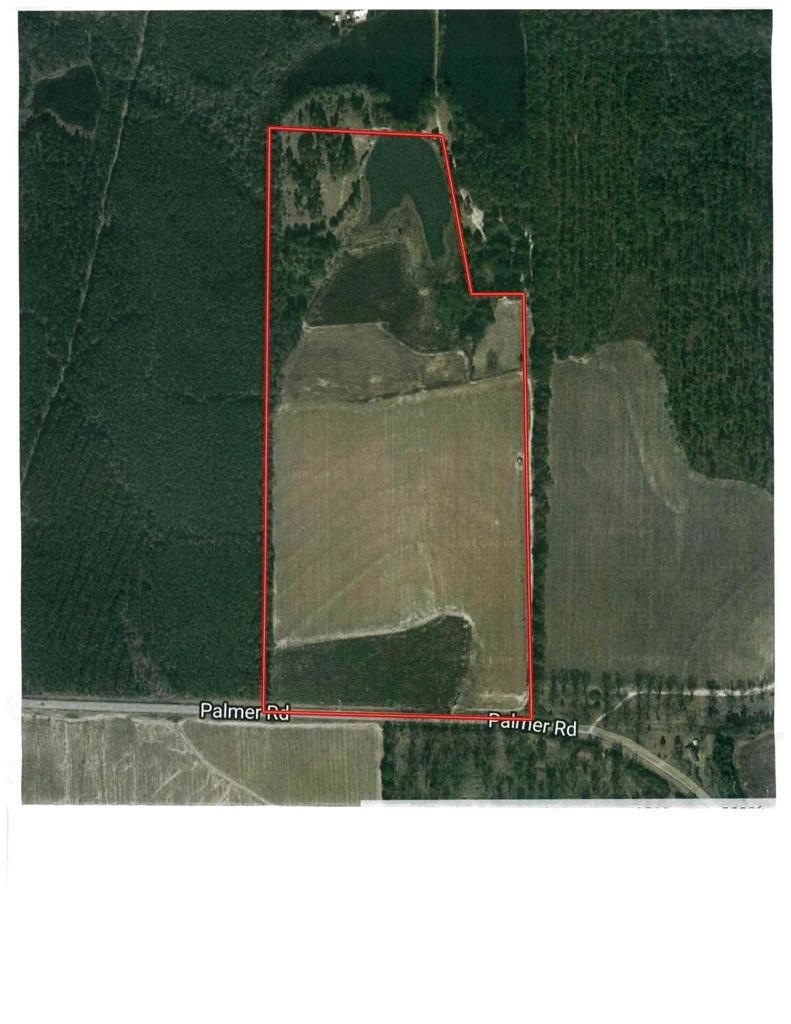 00 Palmer Rd, Meigs, GA 31765 - photo 1