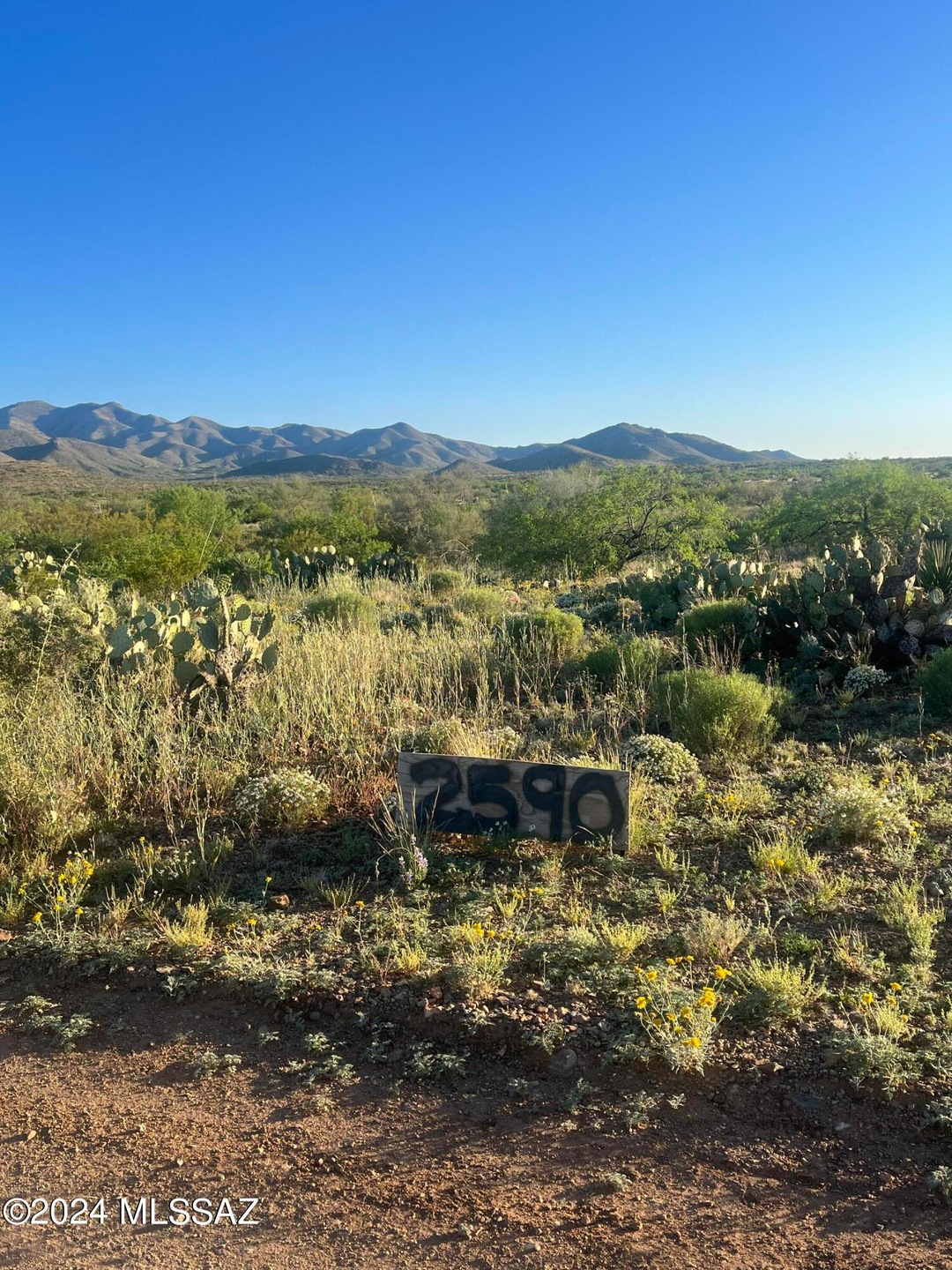 2590 E Inspiration Dr unit 43, Vail, AZ 85641 - photo 1