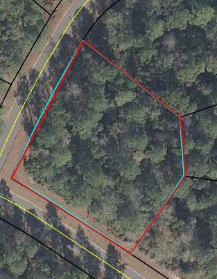 43 Ruddyduck Ct, Brunswick, GA 31523 - photo 1