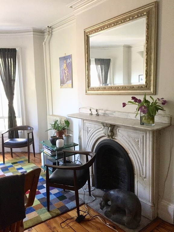 156 W Newton St unit 2, Boston, MA 02118 - photo 1