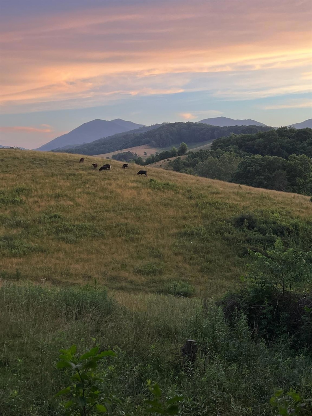 138 Peaceful Valley Dr, Leicester, NC 28748 - photo 1