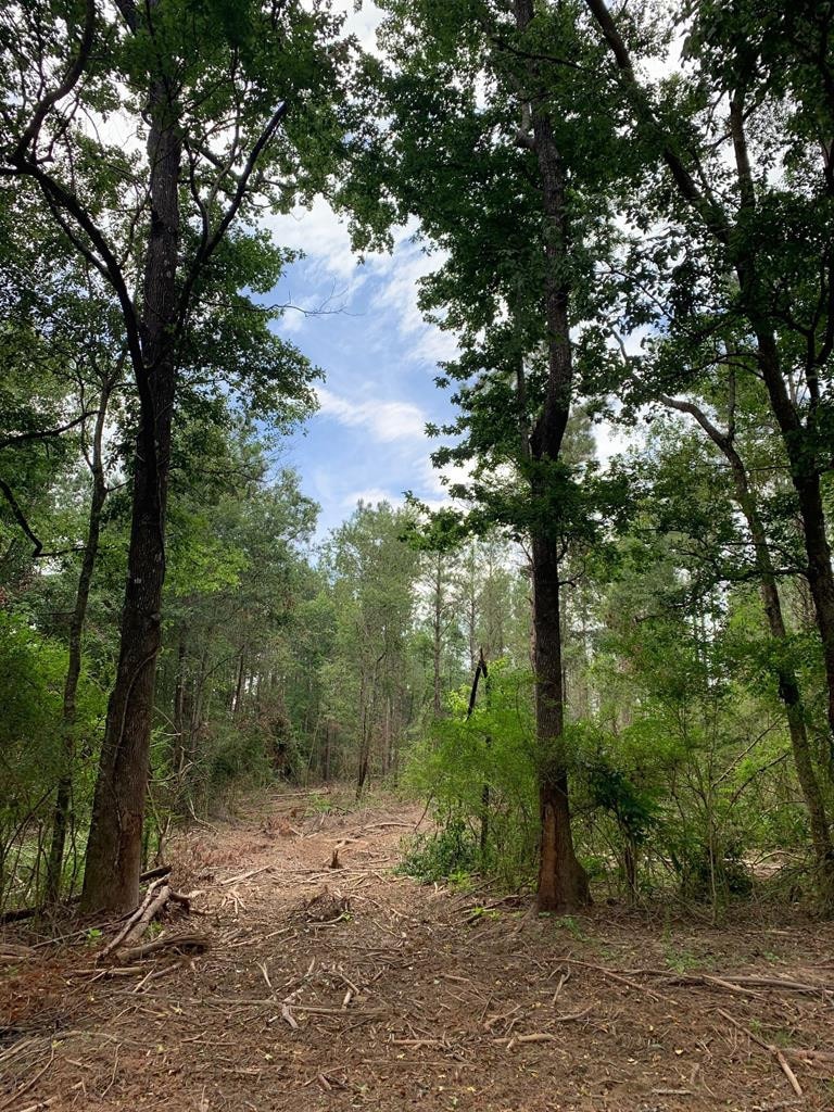 000 Dinan Salem Rd, Tylertown, MS 39667 - photo 1