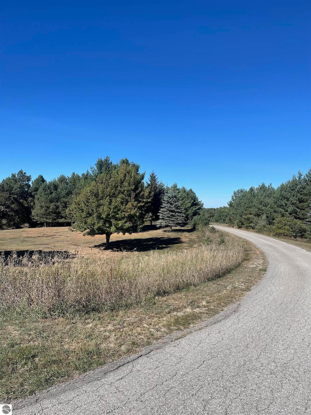 000 Paradise Hills Dr unit 1, Central Lake Township, MI 49622 - photo 1