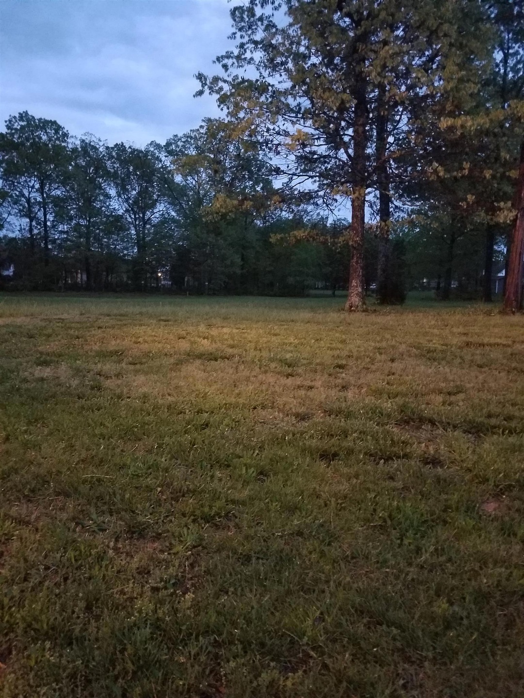 14 Heritage Cir, Manchester, TN 37355 - photo 1