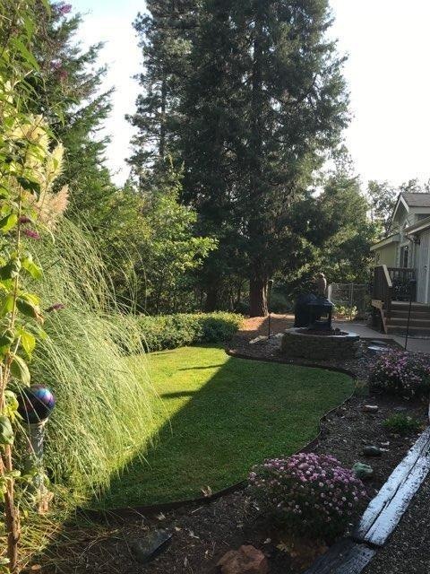 Front Yard and entry