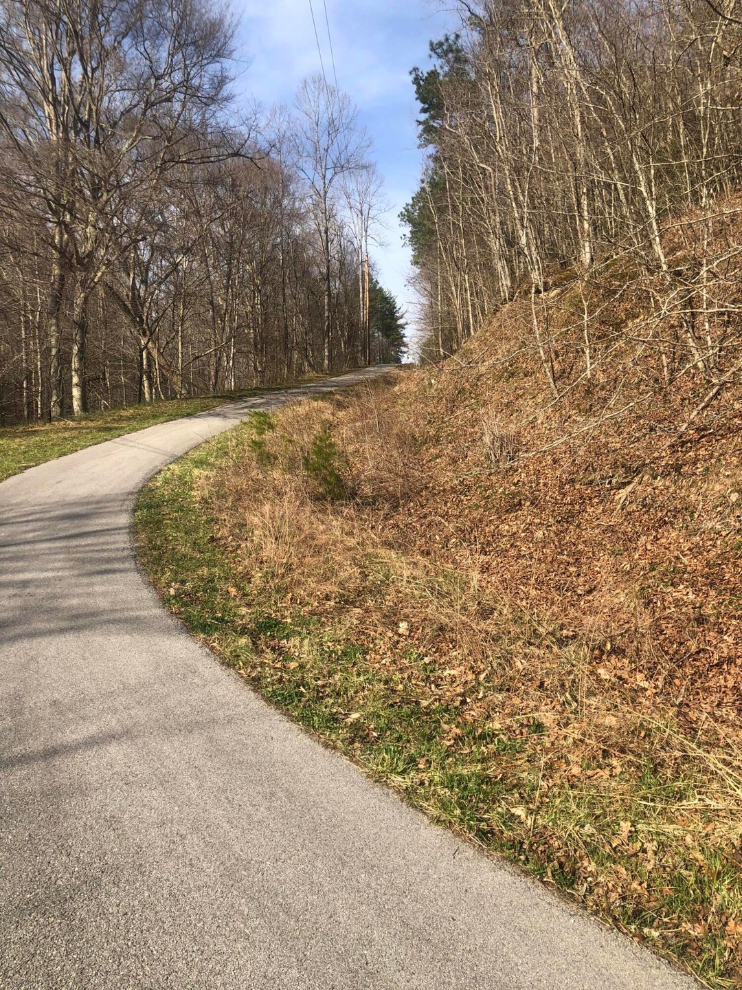 B7960B10-A7D8-4867-A9BA-0B4C8B14EF9D