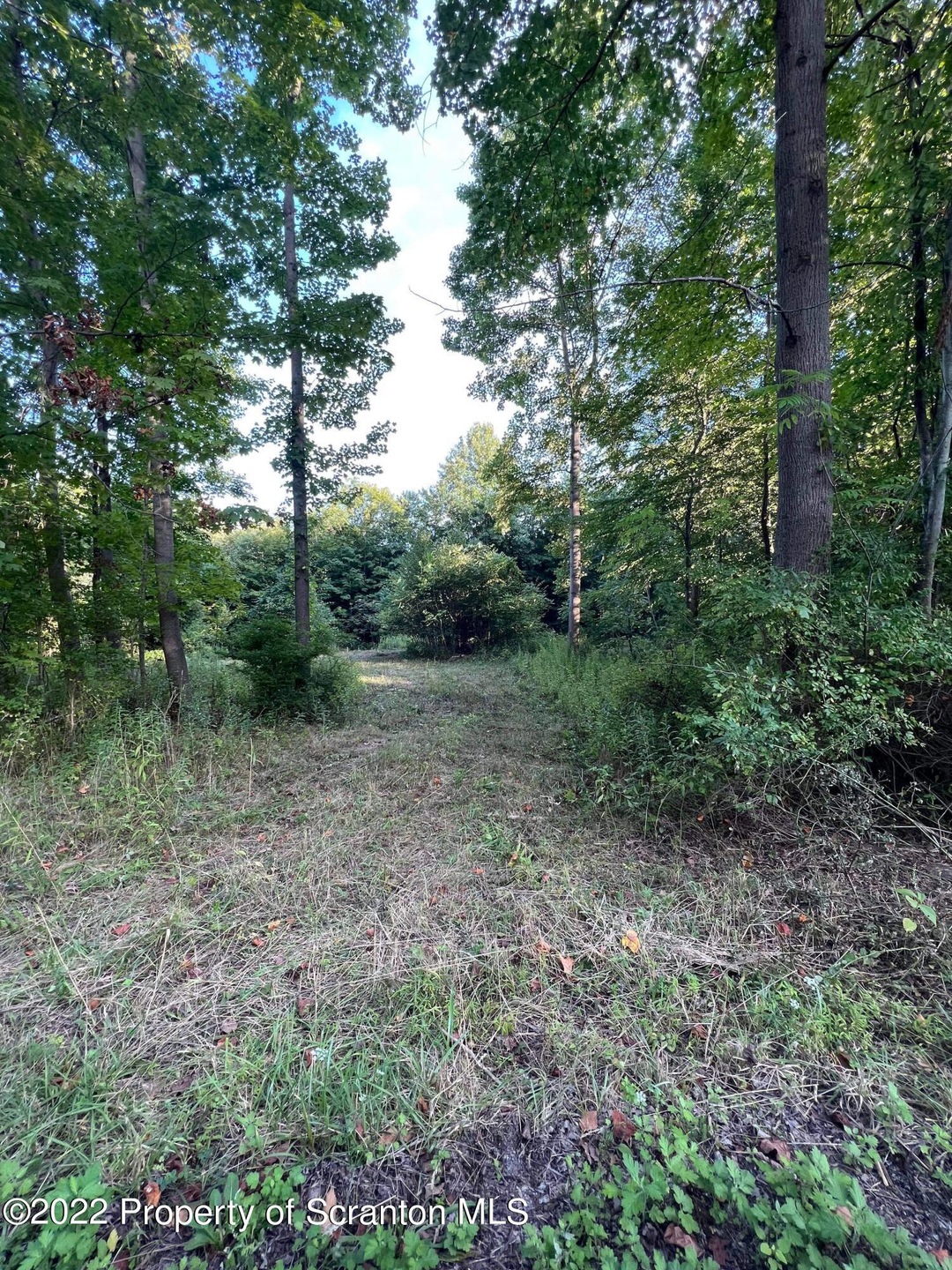 0 Lower Mill City Rd unit GSB224029, Dalton, PA 18414 - photo 1