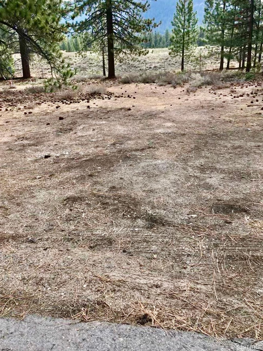 0 Hank Monk Ave, South Lake Tahoe, CA 96150 - photo 1