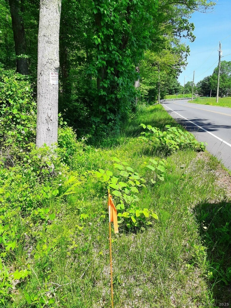 19.83 ac parcel is showing the view headed east before the curve in the road. See signs.