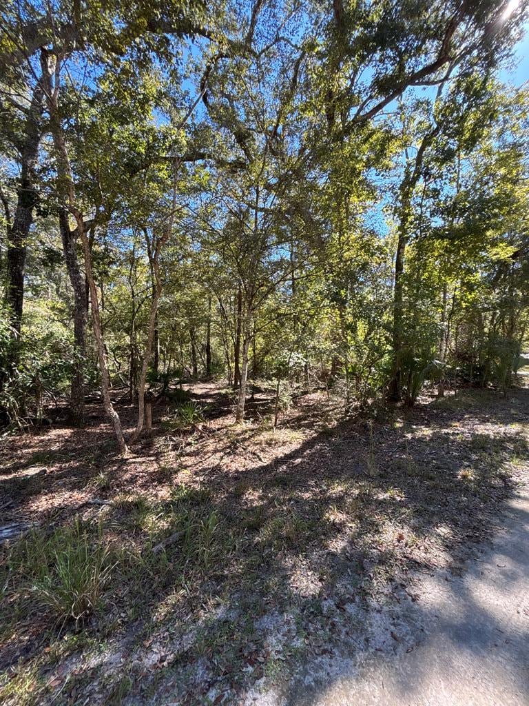 Lot 1 SE 843rd St, Old Town, FL 32680 - photo 1