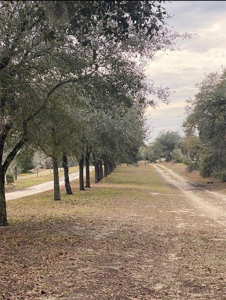 17171 SW 17th Cir, Ocala, FL 34473 - photo 1