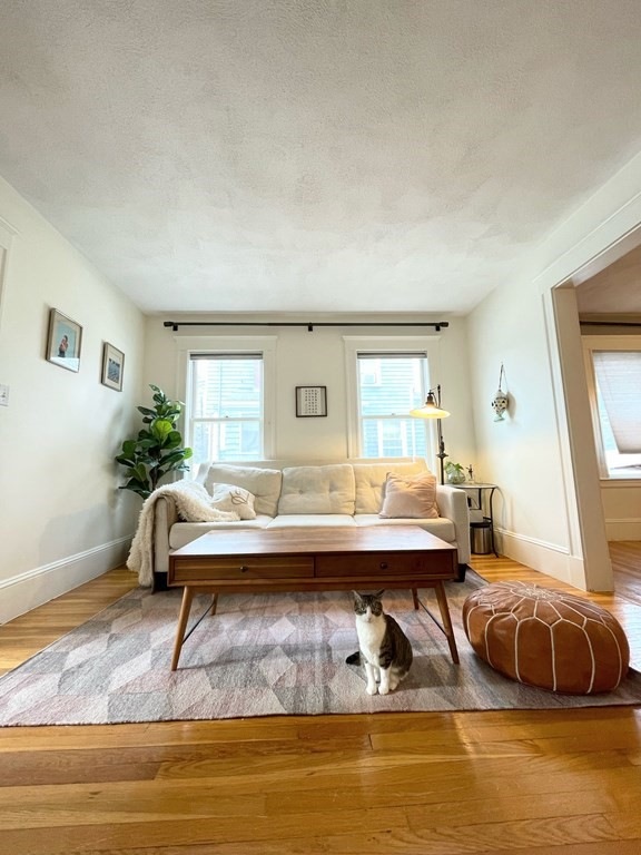 52 Aberdeen Rd, Arlington, MA 02476 - photo 1