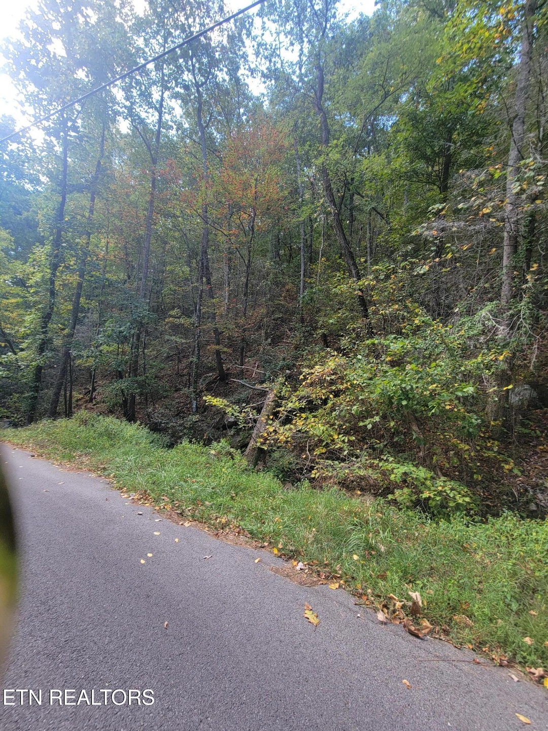 0 Alpine Dr unit 1283013, Sevierville, TN 37876 - photo 1