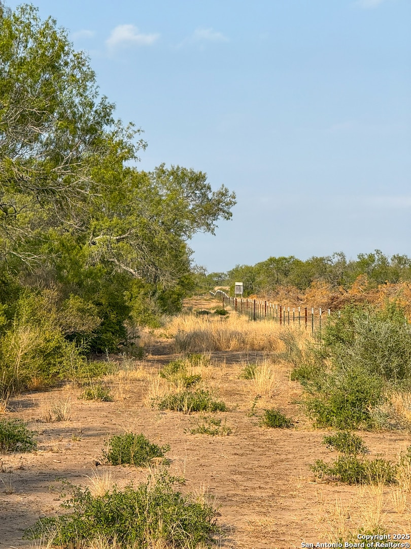 6870 County Road 329 (Tract 2-5), Jourdanton, TX 78026 - photo 1