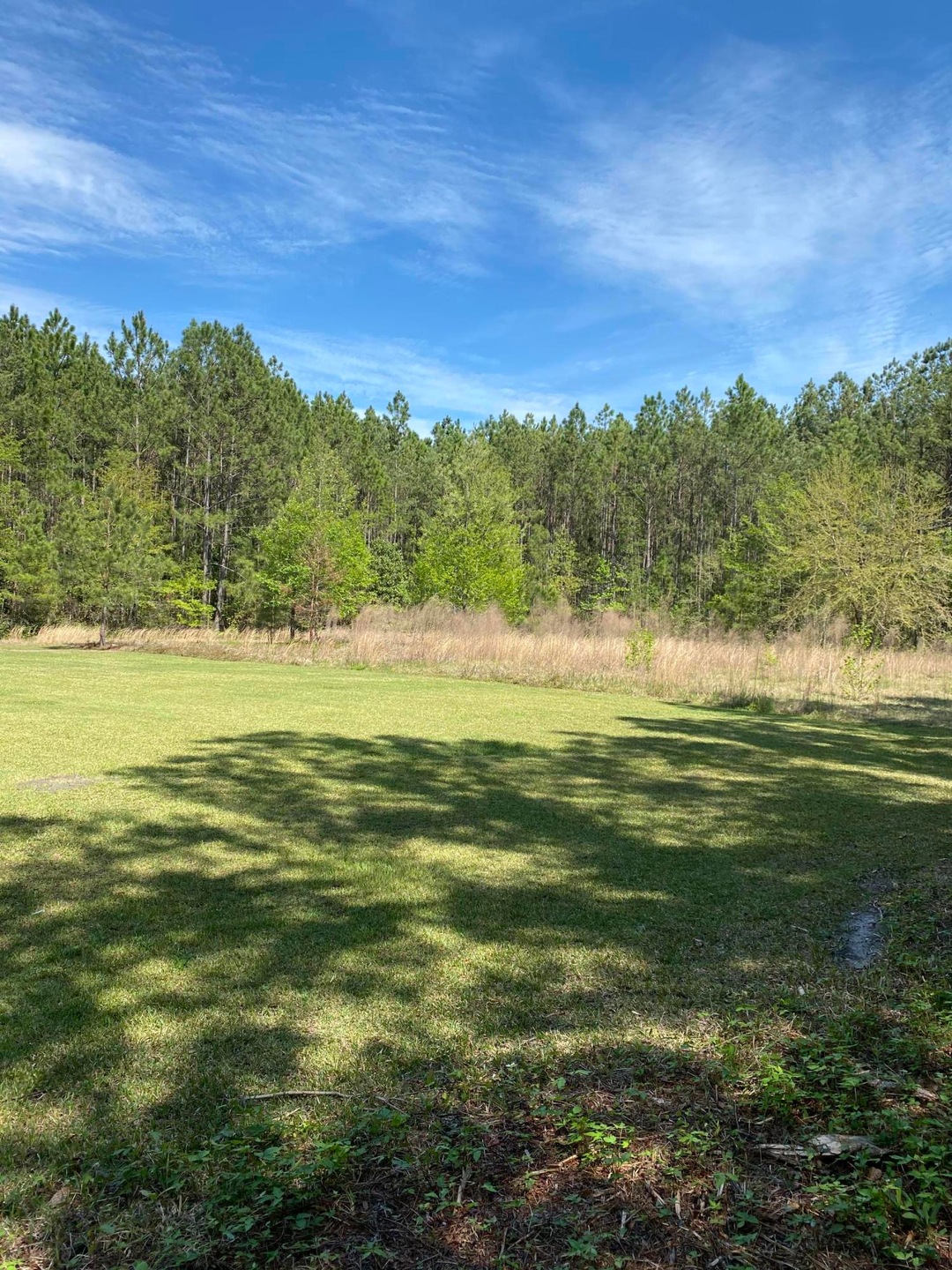 View 2 into lot 53 Austin Drive