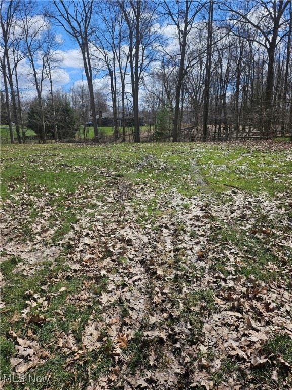 196 Ashtabula Point, Roaming Shores, OH 44084 - photo 1