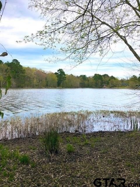 16239 County Road 285, Tyler, TX 75707 - photo 1