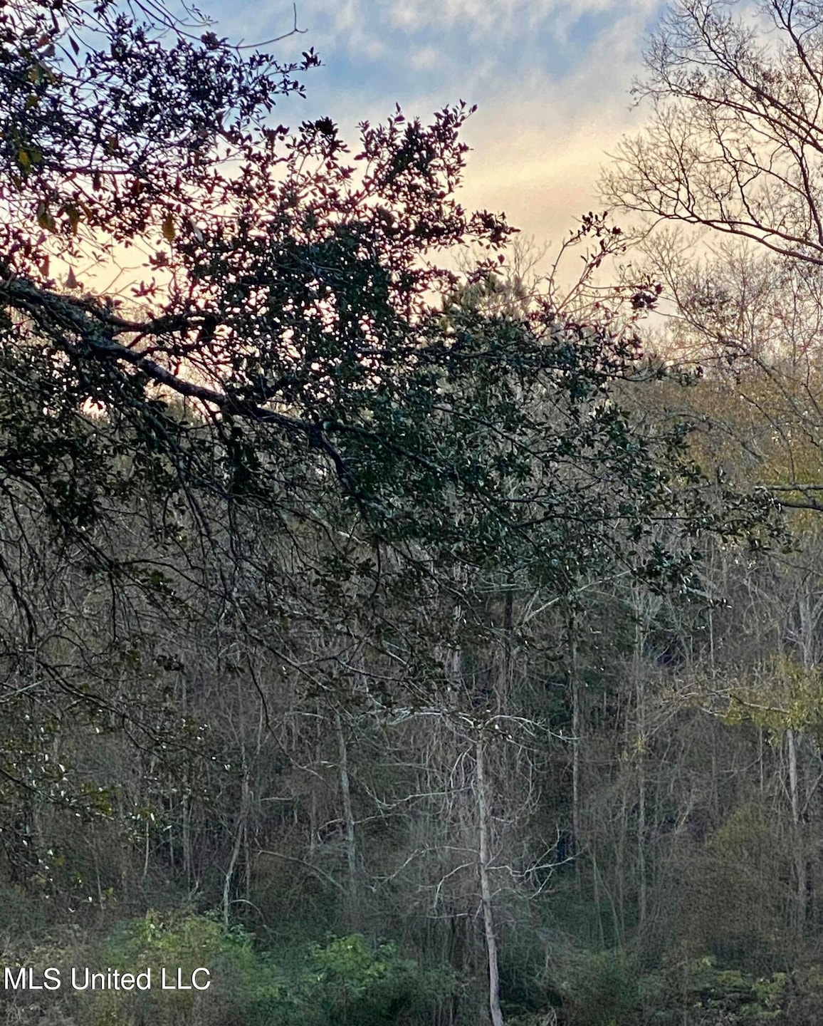 0 J Rd, Picayune, MS 39466 MLS 4067820