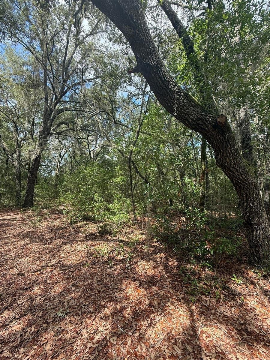 LOT 132 Duncan Ave, Interlachen, FL 32148 - photo 1