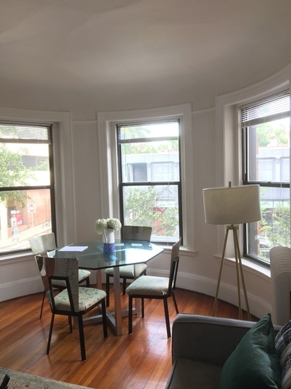 1010 Massachusetts Ave unit 36, Cambridge, MA 02138 - photo 1