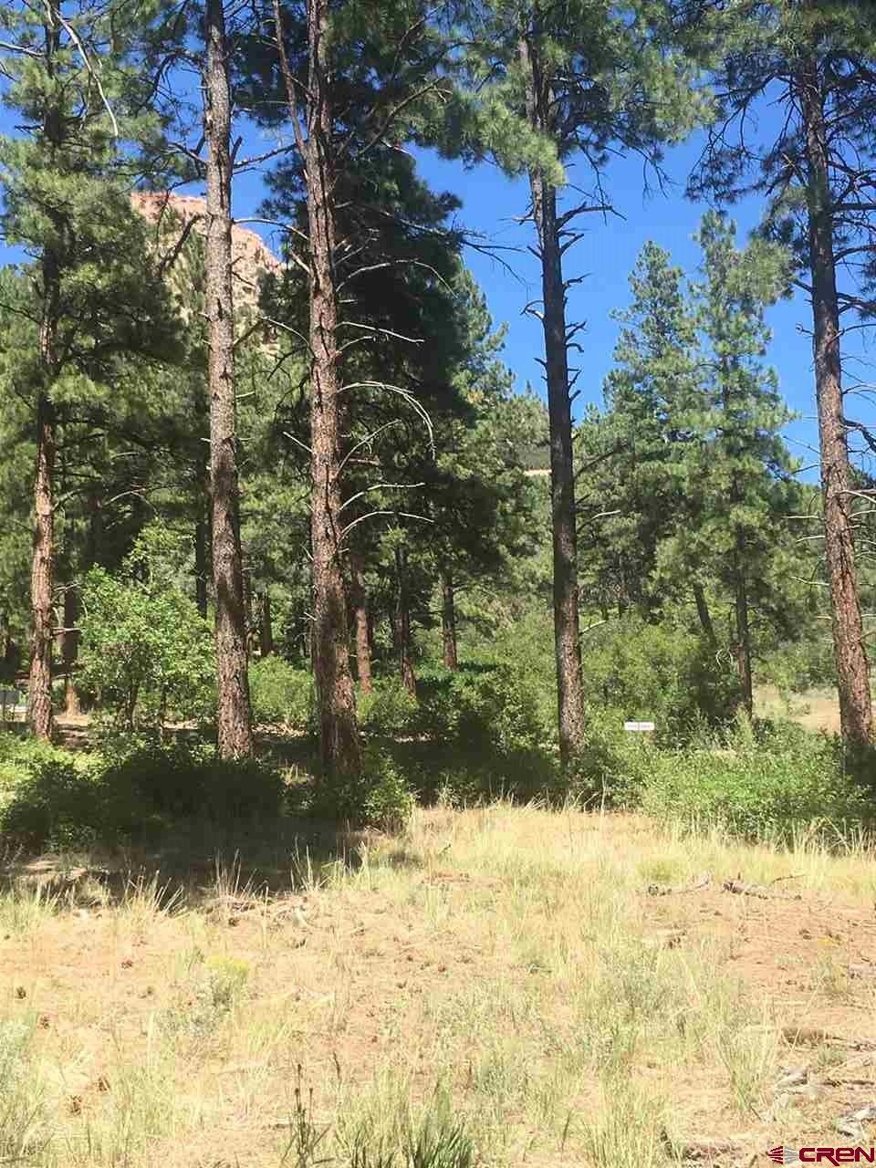 597 Tipple Ave, Durango, CO 81301 - photo 1