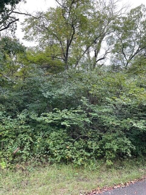 Tbd Turkey Mountain Estates unit 132-137, Shell Knob, MO 65747 - photo 1