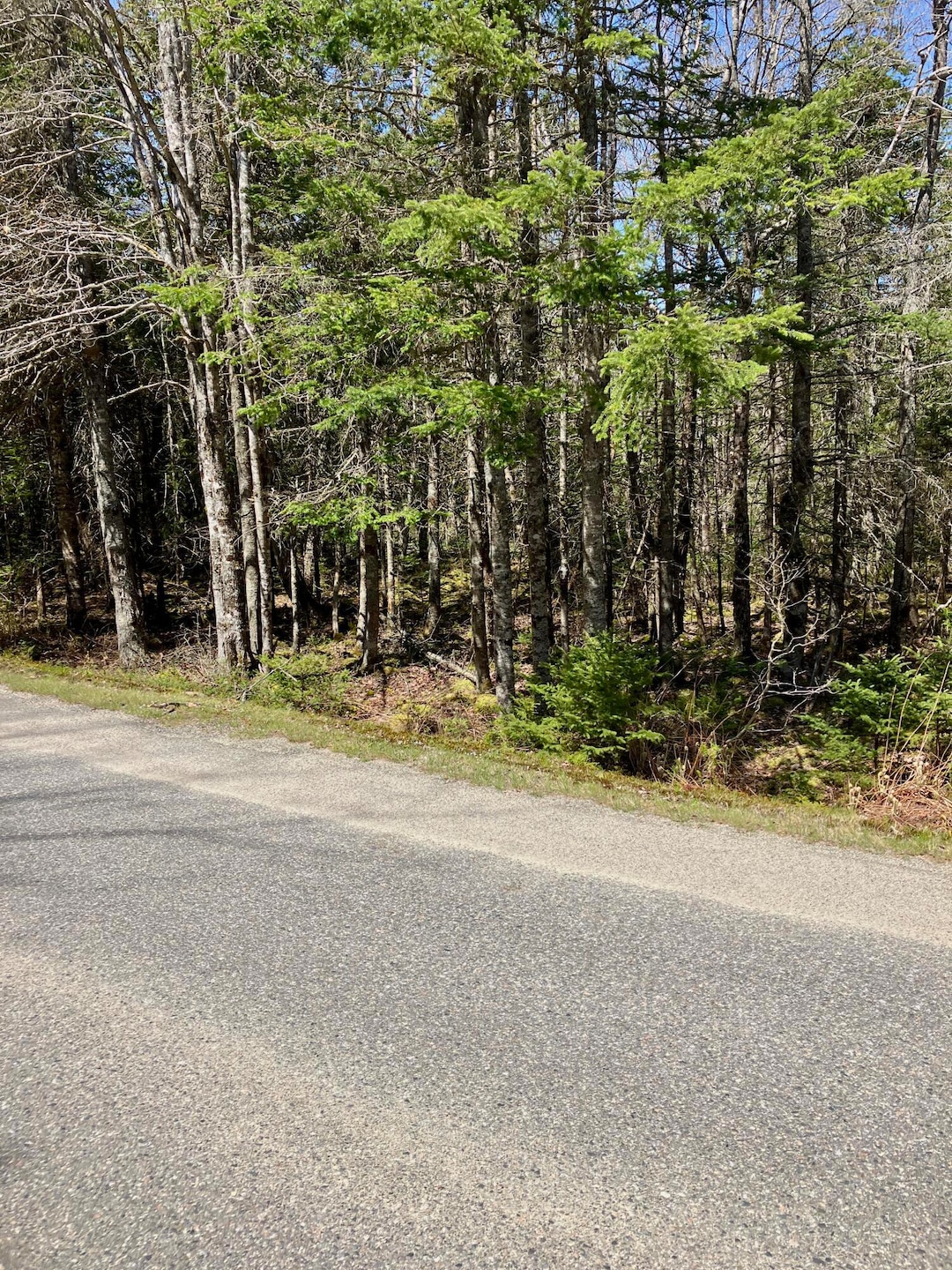 View of Lot & Road Frontage