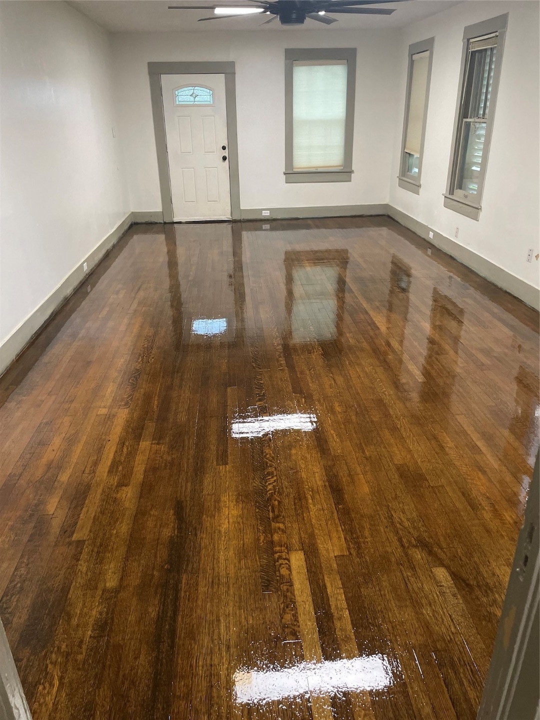 This photo shows a spacious, freshly polished room