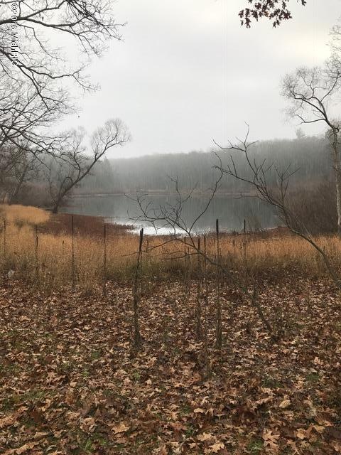 0 Fiftieth Ave unit 16057148, Bitely, MI 49309 - photo 1