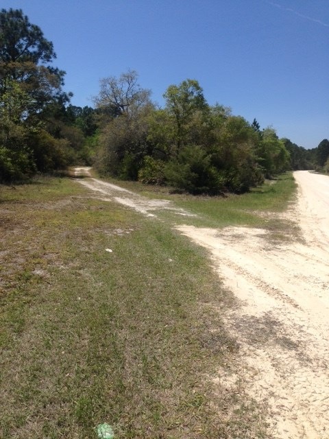 0 Yates Creek Rd unit 268566, Perry, FL 32348 - photo 1