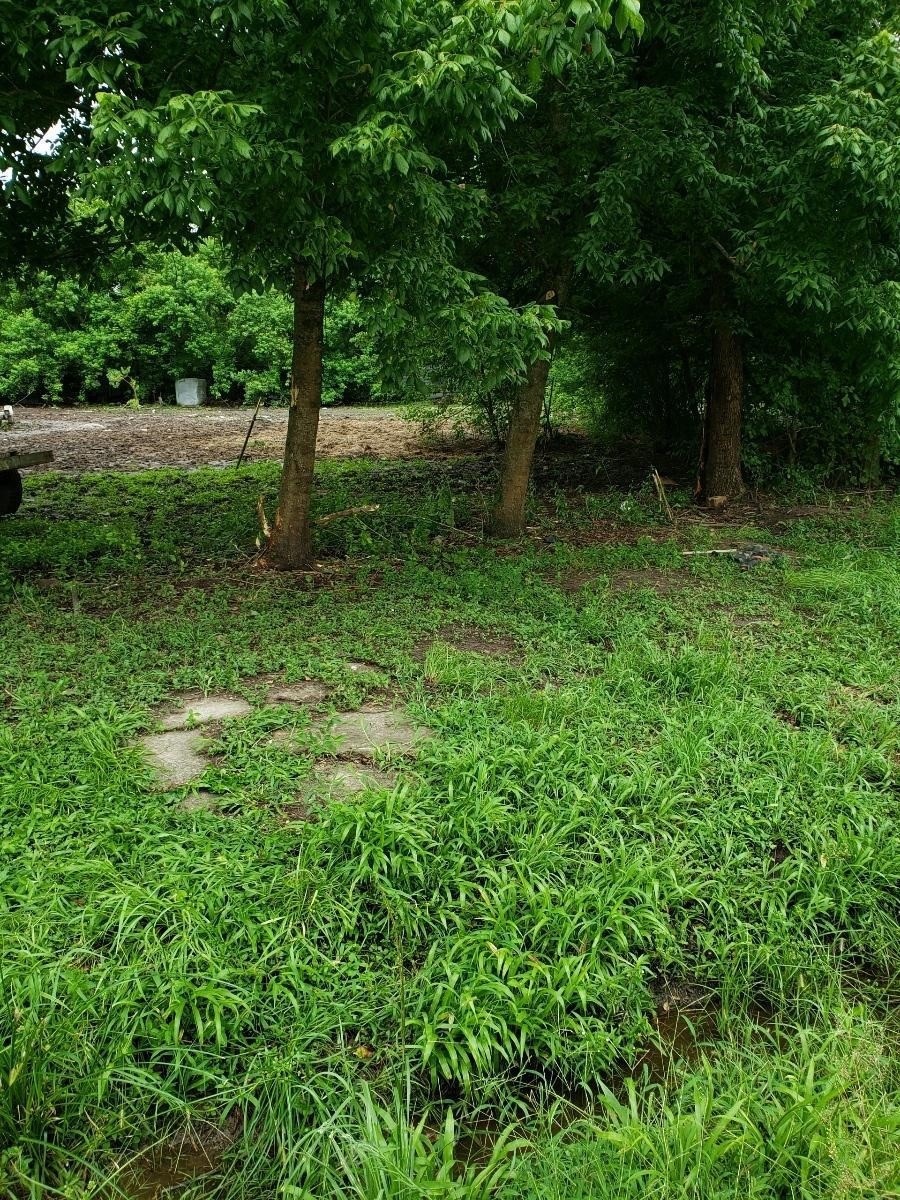 7902 James Franklin St, Houston, TX 77088 - photo 1