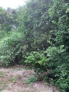 Cleared Vacant Lot