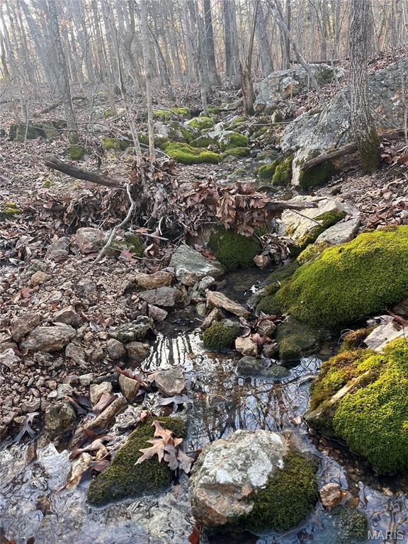 Beautiful creek at bottom of hill!