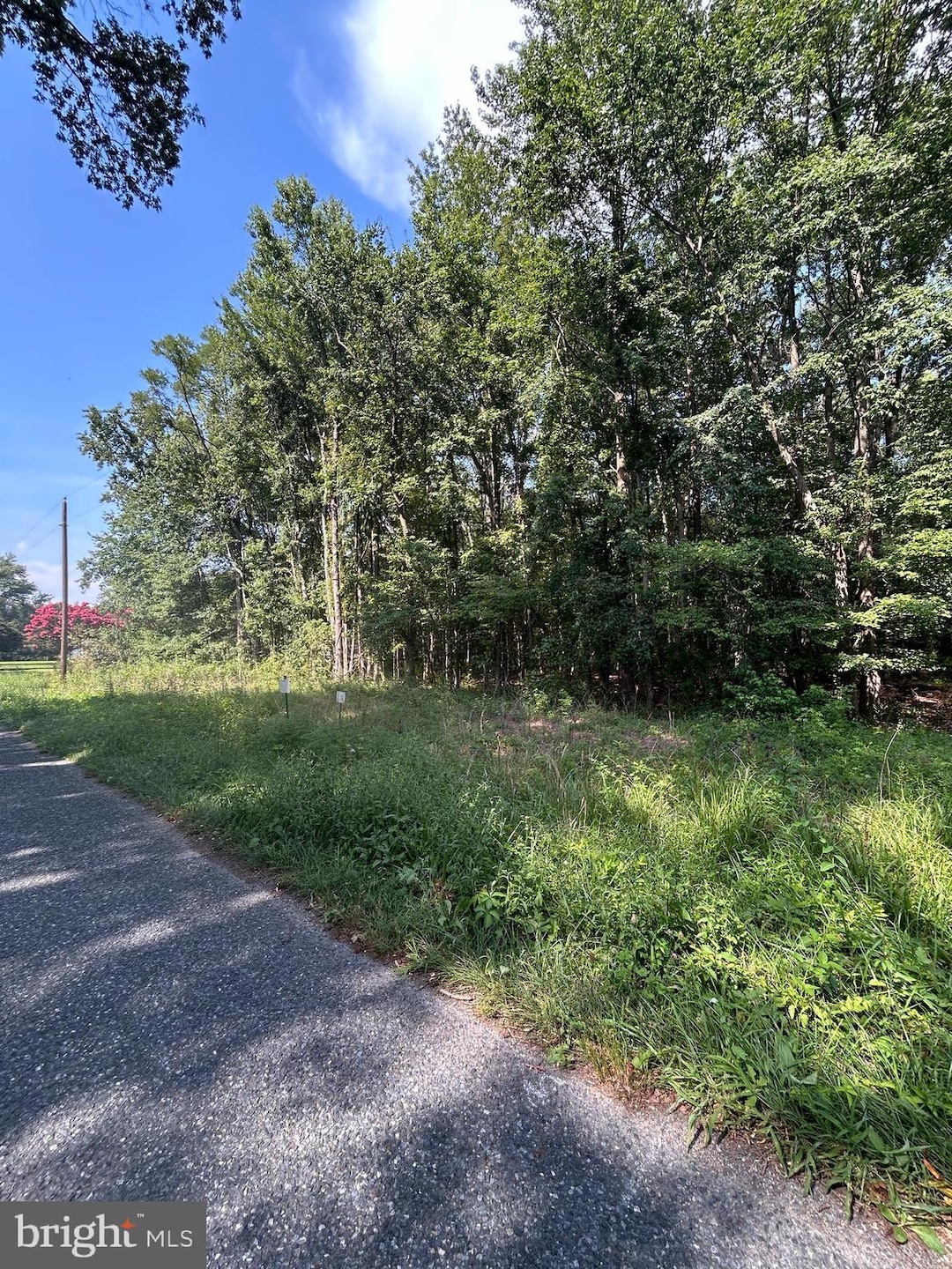 0 Chesterville Forest Rd unit PARCEL 84A, 1, Massey, MD 21651 - photo 1