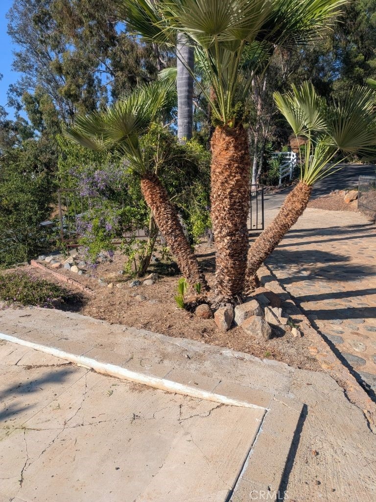 4287 Rosa Rancho Ln, Fallbrook, CA 92028 - photo 1