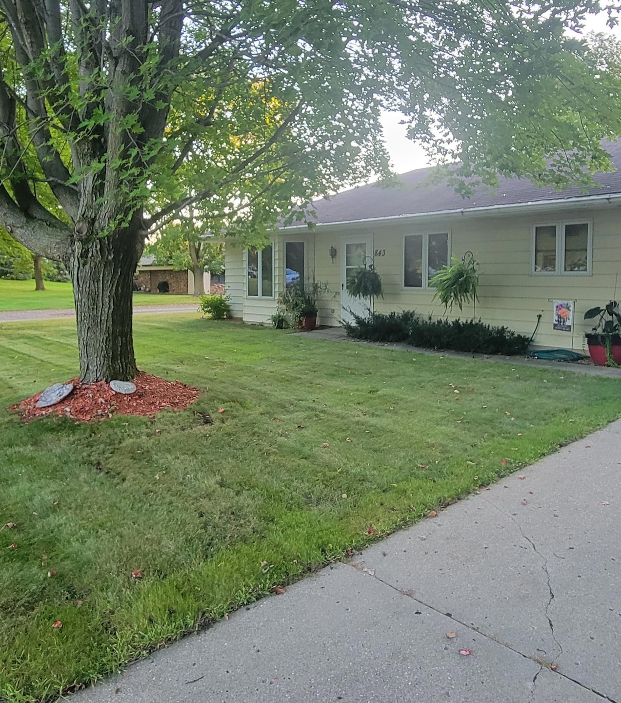 Pending $242,700 • Co-Listing Agent