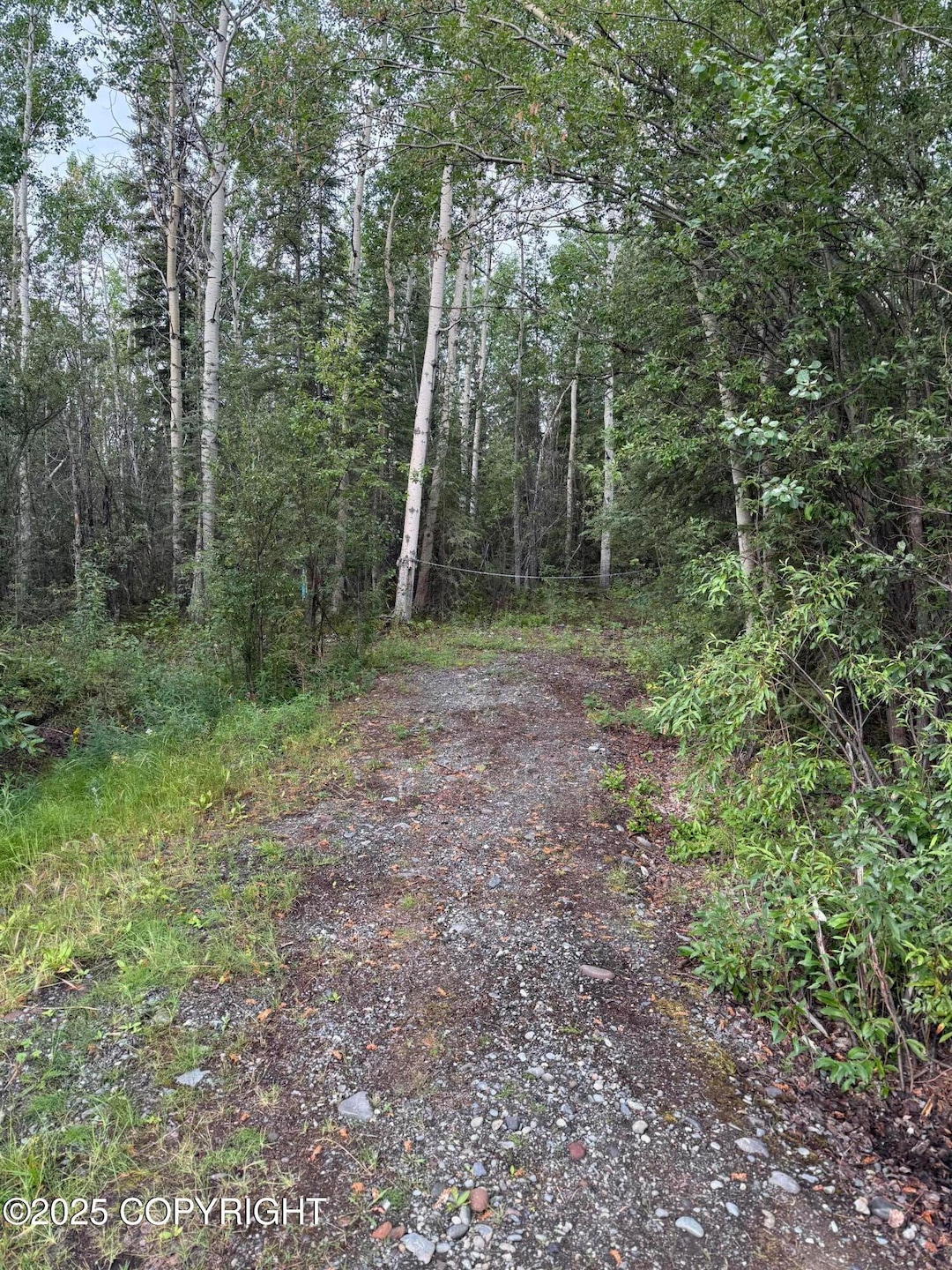 Pending $49,500 • Co-Listing Agent