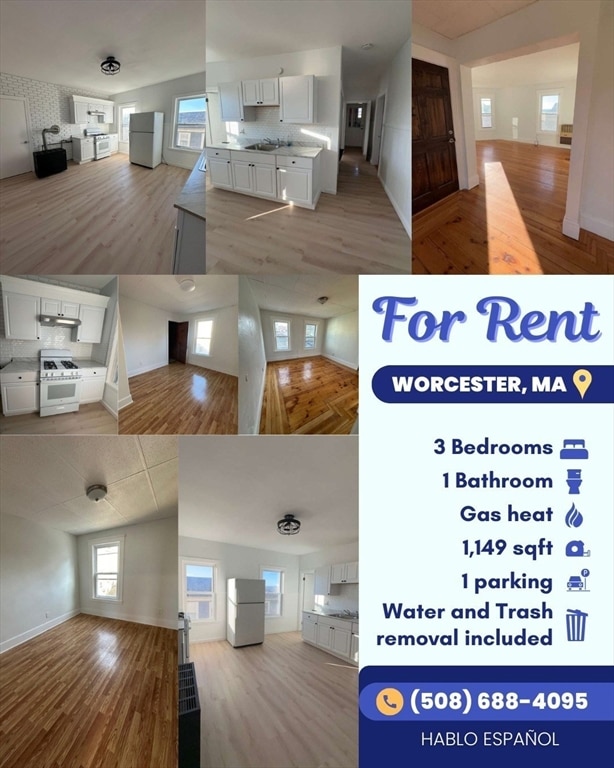 11 Alpine St unit 3, Worcester, MA 01610 - photo 1