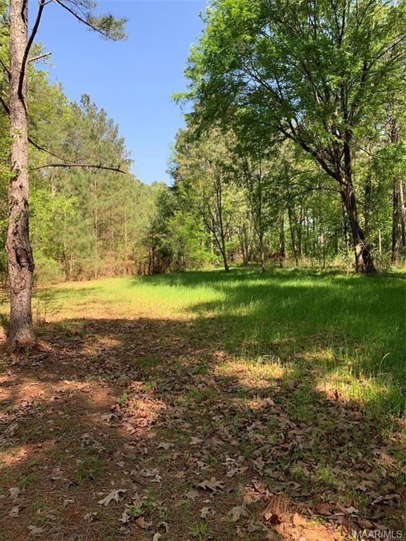 34/34A Riverview Landing Dr, Camden, AL 36726 - photo 1