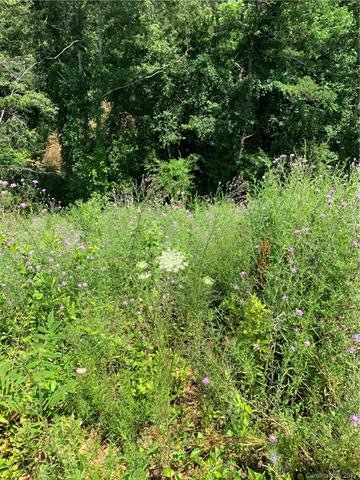 49 Alexander Ridge Dr, Leicester, NC 28748 - photo 1