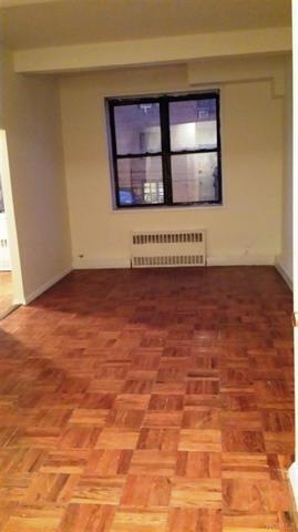3119 Bailey Ave unit LF, Bronx, NY 10463 - photo 1
