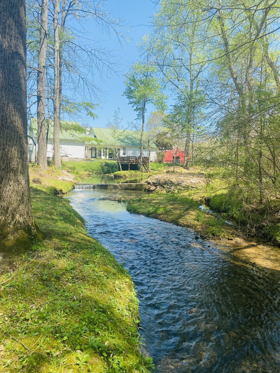 267 Belmont Rd, Manchester, TN 37355 - photo 1