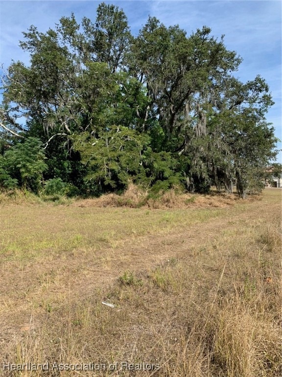 407 E Citico St, Avon Park, FL 33825 - photo 1