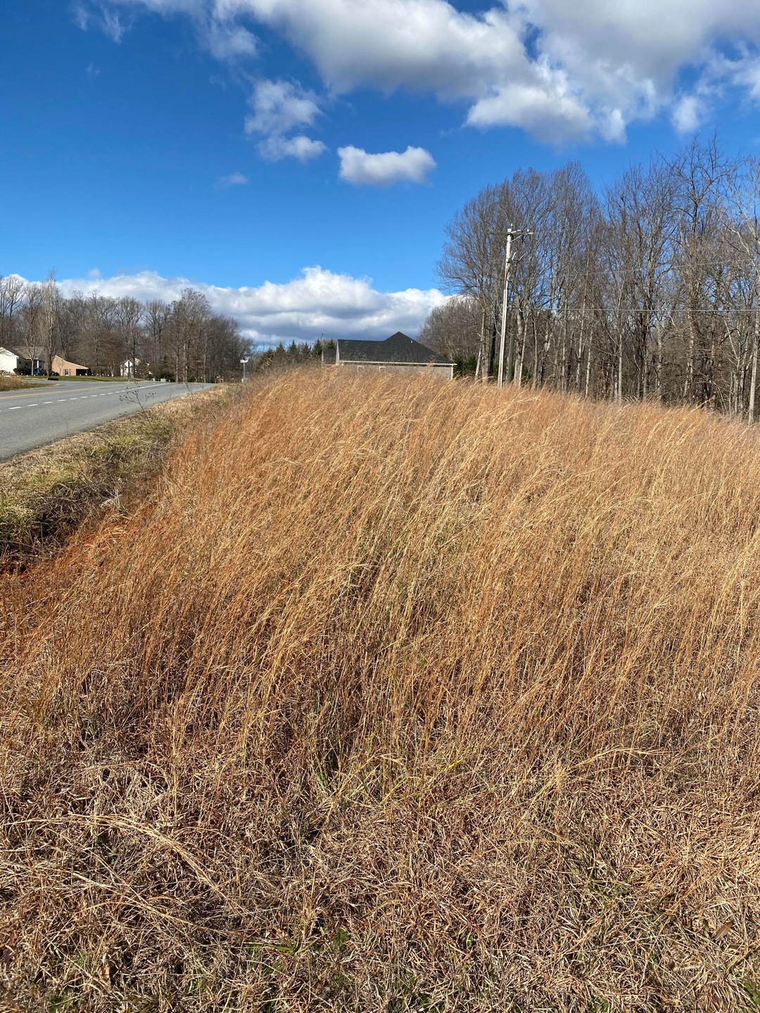 Bellevue Road 2.19 Acres