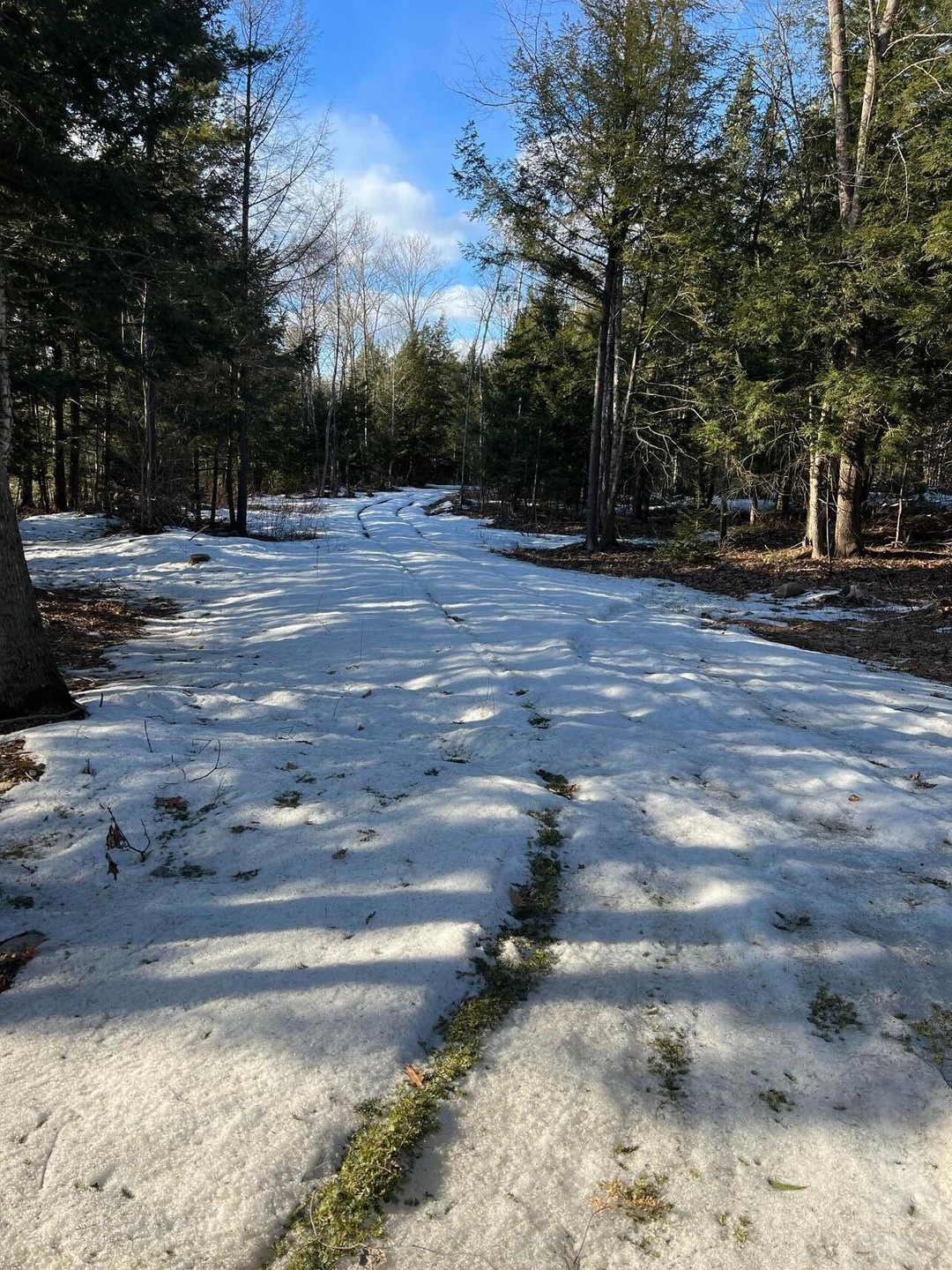 beginning of loggin road to property